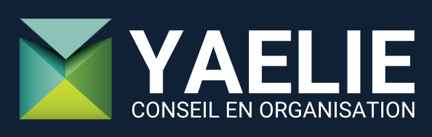 Logo Bleu Yaelie Conseil en Organisation et Horse Coaching