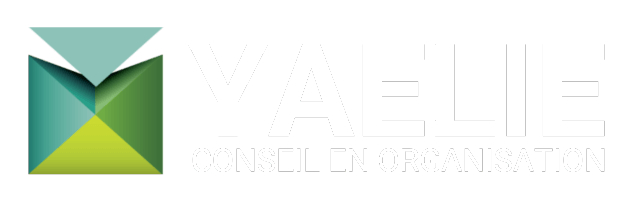 Logo Transparent Blanc Yaelie Conseil en Organisation et Horse Coaching