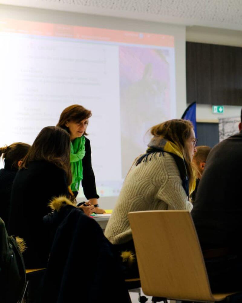 Yaelie Coaching d'organisation - Conduite du changement - Horse qcoaching